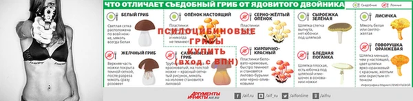 винт Алексеевка