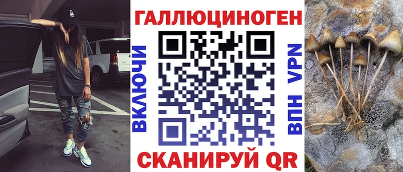 как найти закладки  Опочка  Галлюциногенные грибы Psilocybine cubensis 