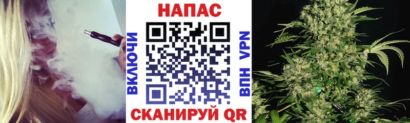 купить наркотики цена  блэк спрут как зайти  Конопля планчик  Опочка 